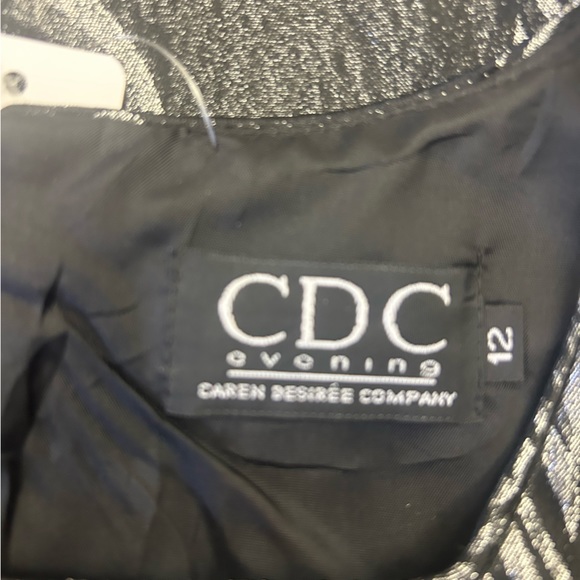 CDC EVENING CAREN DESIREE DRESS SLEEVELESS SHINY SILVER FLORAL MINI IN SIZE 12 - Picture 7 of 8